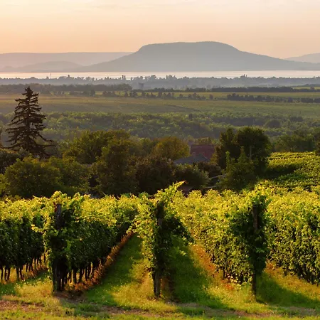 펜션 - Balaton 18403 *