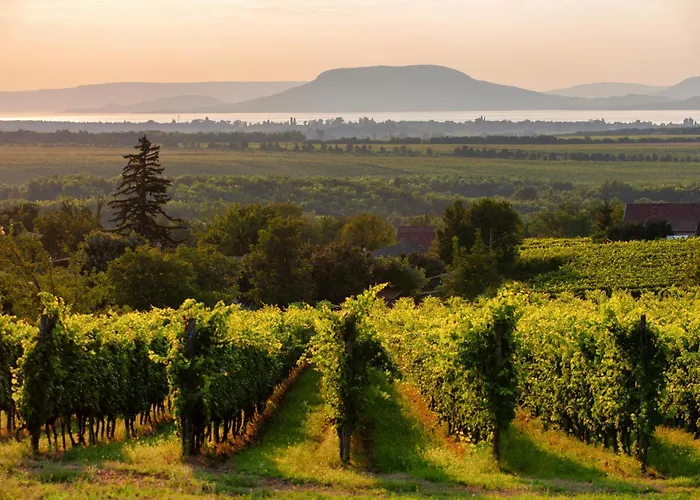 펜션 - Balaton 18403 *